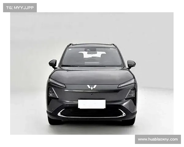 五菱终于想通了,新车标大气上档次,网友:后悔车买早了 五菱终于想通了,新车标大气上档次,网友:后悔车买早了